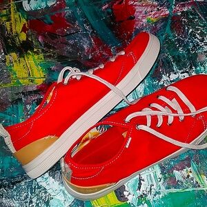 Toms mens canvas shoe